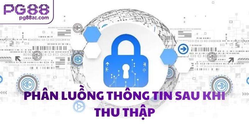 Phân luồng thông tin sau khi thu thập
