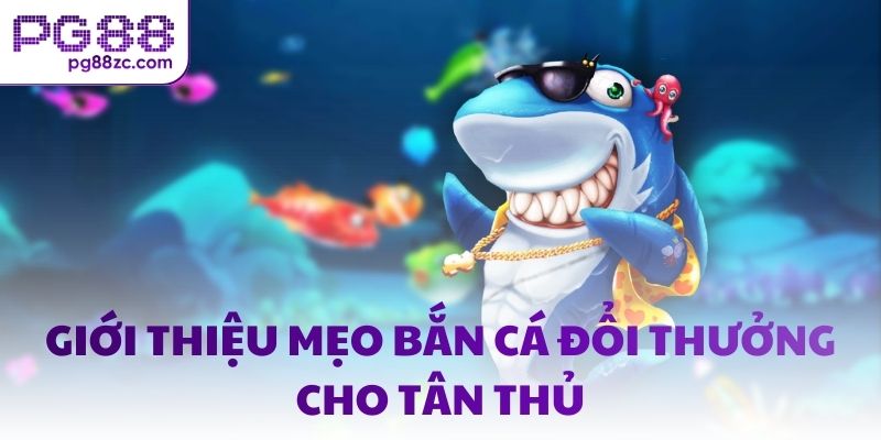 Giới thiệu mẹo bắn cá đổi thưởng cho tân thủ